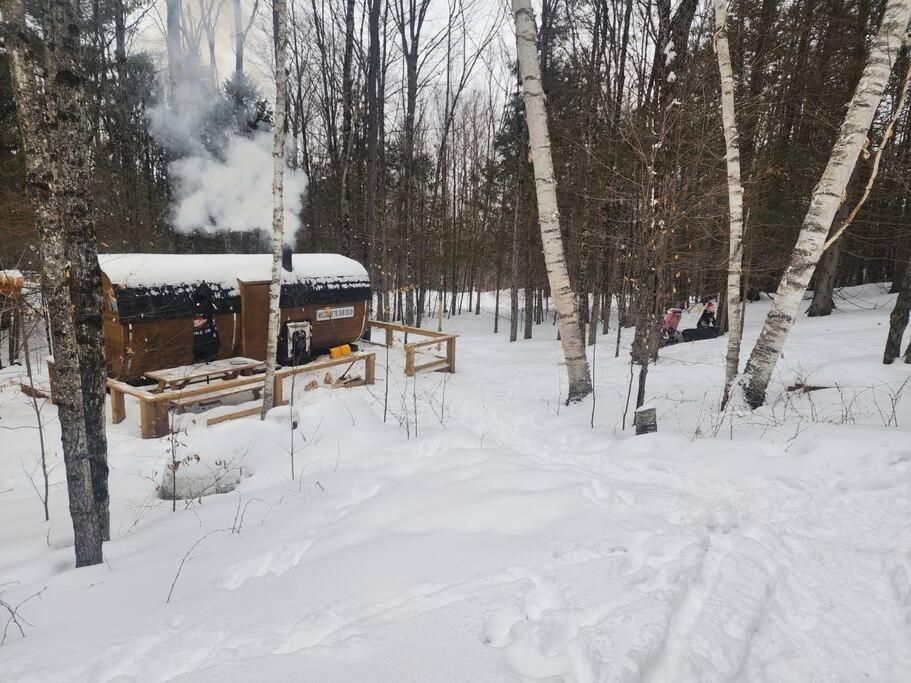 Dingle Run Lodge At Sir Sam'S Haliburton Exterior foto